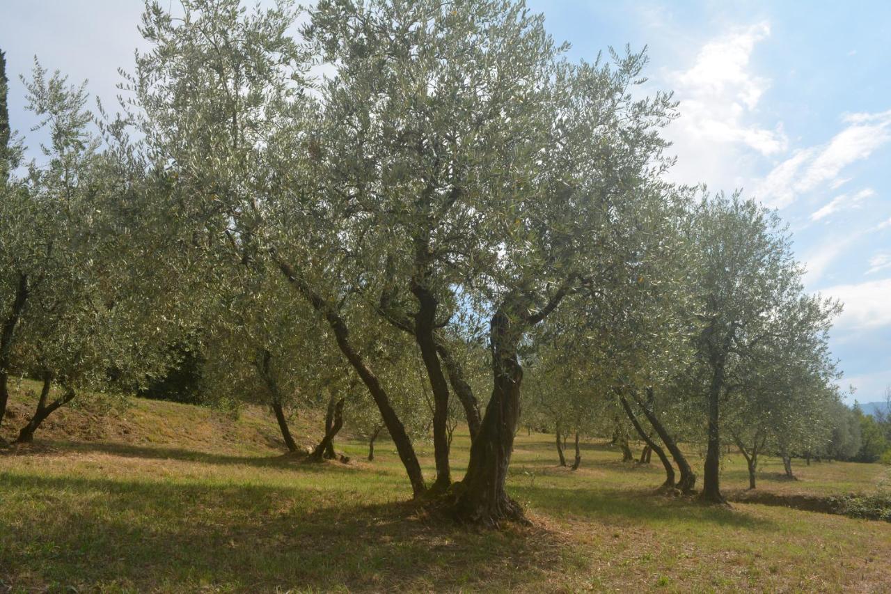 Podere Delle Fanciulle Пистойя Экстерьер фото
